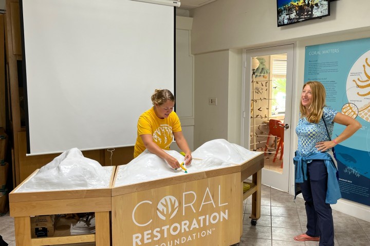 a visit to the coral resotration to learn about our florida keys environment on the florida keys food tour in key largo