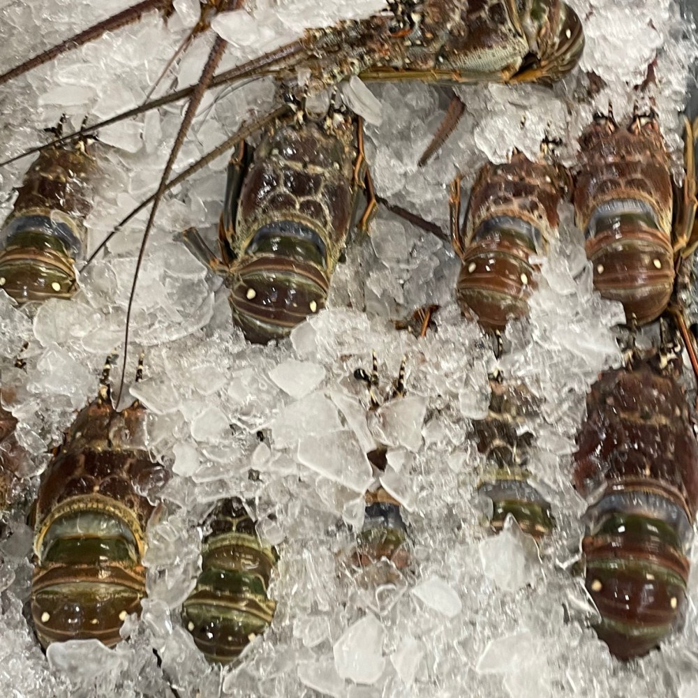 lobster at the Key Largo Fishmarket