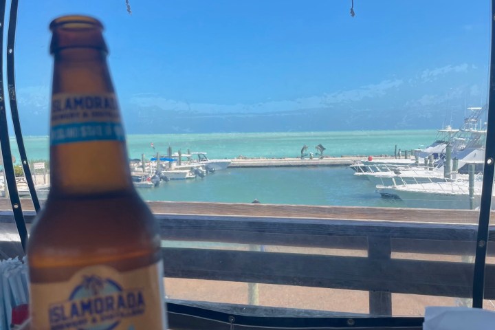 View of marina from cafe, person holding a beer bottle in foreground.